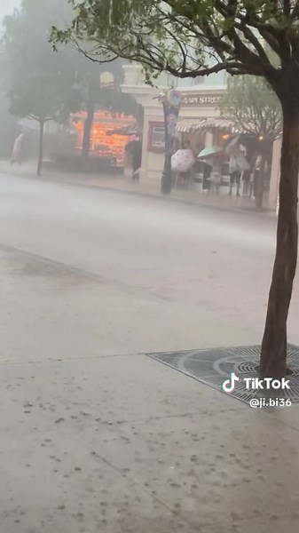 Typhoon No.10 Hits Hong Kong with Heavy Rainfall