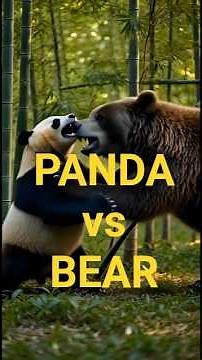 Panda vs Bear – Unexpected Jungle Battle | Wild Animal Fight 🐼🐻#shorts #animals #youtubeshorts
