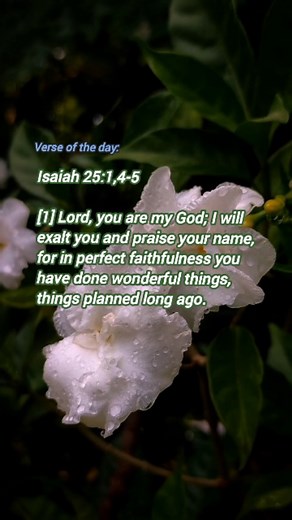 11 reactions | In Isaiah 25, we see the beauty of God’s character,...