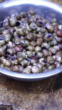 Traditional Homemade Feast | Digging Giant River Mussels & Wild Bamboo Greens 🦪🎋