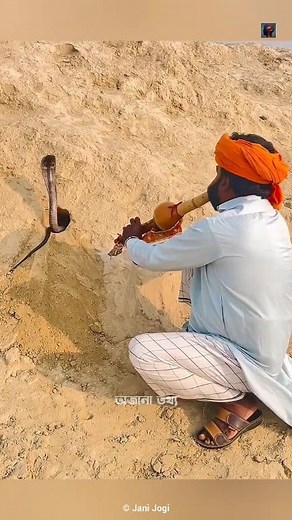 How do snake charmers catch snakes? | অজানা তথ্য
