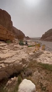 Billy Bolt Racing on Reels