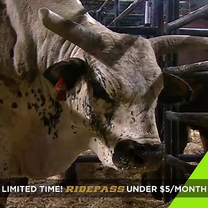83K views · 246 reactions | Watch the best bucking bulls in the world faceoff against PBR’s top 35 cowboys at the PBR World Finals LIVE on RidePass! SALE - Get a Ridepass annual subscription for less than $5 per month and the PBR World Finals Pay-Per-View is FREE (a $49.99 value)! | PBR | Facebook
