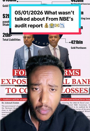 Insights from NBE's Audit Report on Financial Holdings