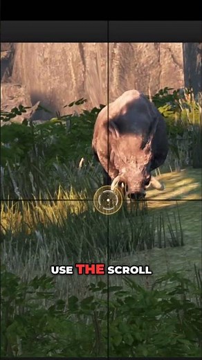 BDO: Mastering Precision- Zooming Techniques for Sniper Rifles