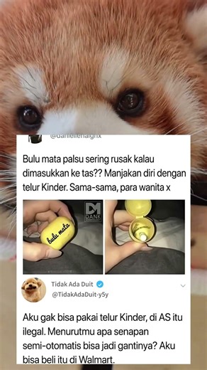 Ide Jenius Simpan Bulu Mata Pakai Telur Kinder, Tips Cantik