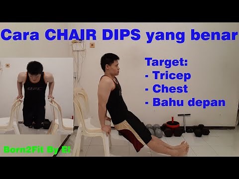 Cara Chair Dips yang Benar - Dips Workout