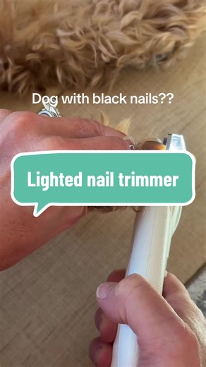 Best Nail Trimmer for Dogs with Dark Nails