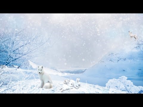 How to get the cheeks head