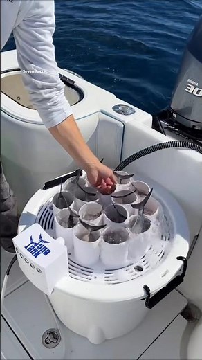 This Tank Keeps Fish Alive