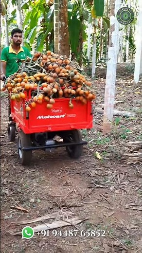 MotoCart: Best Heavy Duty Agriculture Cart Machine 🔥