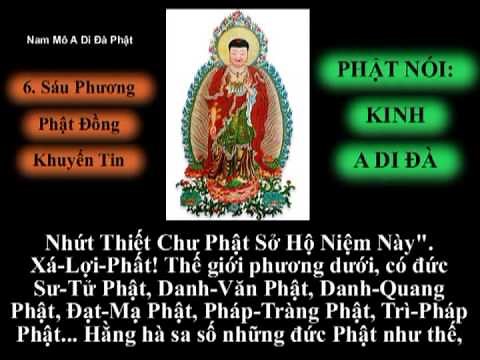 Tụng Kinh A Di Đà -Thích Trí Thoát .