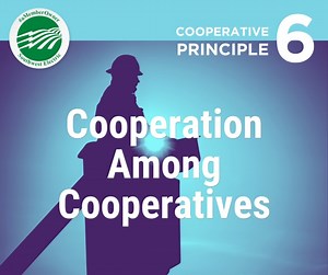 One important cooperative principle — and one of our favorites — is the sixth, Cooperation Among Cooperatives. Cooperatives help each other and work together to better serve their members and communities. For example, electric cooperatives help each other restore outages after major storms. #sevencooperativeprinciples | Southwest Electric Cooperative | Facebook