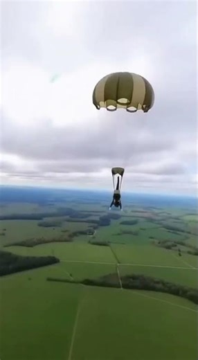 Helicopter Cat Mission – The Coolest Landing Ever! 🐱🚁