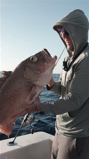 Johnny Jigs Catching a Kitty Mitchell on the First Drop of the Day!