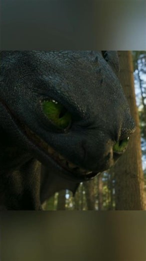 Toothless🖤🔥 ~ Skyfall❤️🔊 #edit #toothless #dragon #2025 #httyd #furry #httydfandom #fypage #shorts