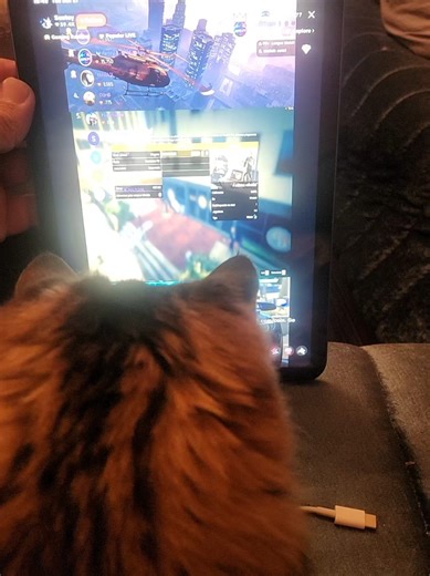 Cat playing video game 🎮 🐈🐈🐈‍⬛️🐈‍⬛️🐈‍⬛️🐈🐈🐈🐈 #cat#play#videogames #trendingvideo #viraltiktok
