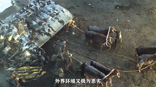 《异形：夺命舰》观影前必看！ 一个视频回顾《异形》系列的完整故事线，看懂所有隐藏细节！异形编年史！