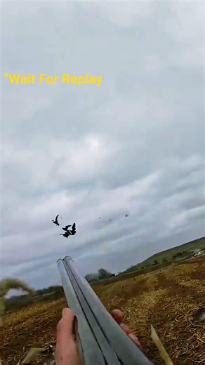 Perfect Goose Shot! 🎯 Watch the Slowmo Replay at the End 👀