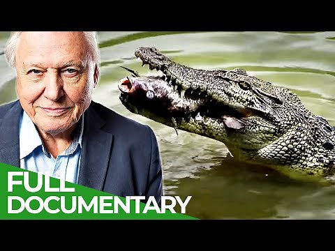 David Attenborough's Wild City | Episode 1: Hidden Wild | Free Documentary Nature