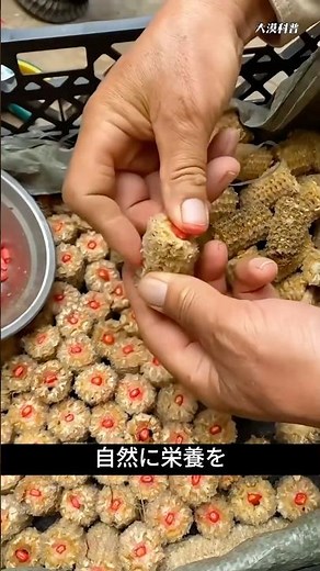 Throwing away corn cobs is a waste.