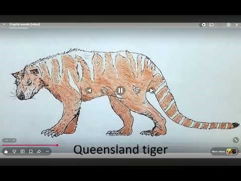 Cryptids sounds part 2