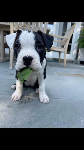 Instagram video by Brooke Shields • Dec 7, 2023 at 6:19 AM