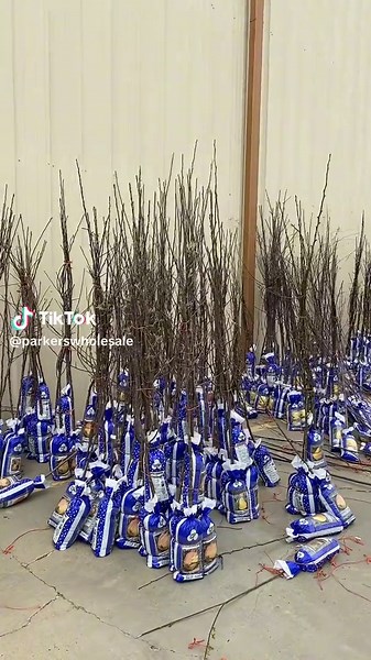 Parker’s Wholesale on TikTok