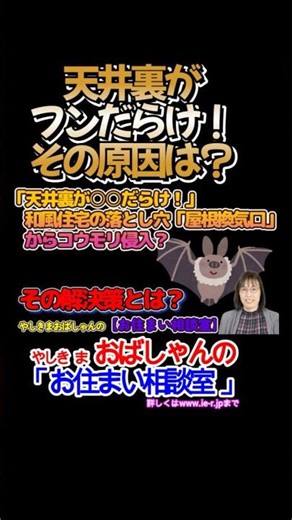 天井裏がフンだらけ！その原因は？ #shorts #コウモリ被害