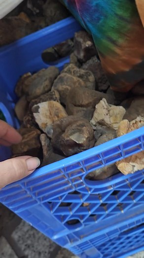 11 reactions | Lets sell some rocks and make space before Thanksgiving! | Rocks For Socks N' More | Facebook