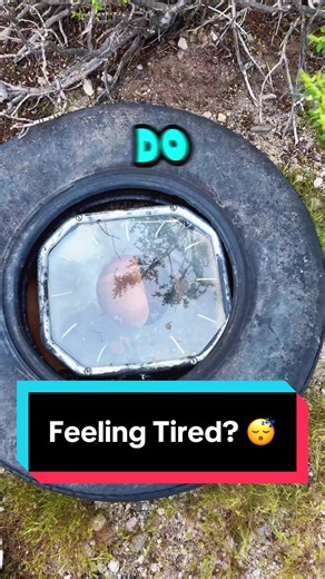 Replying to @Carter likes f1 Have you ever found a hidden Geocache? Download the Geocaching app and share this with someone that will search for one with you! #Hullsome