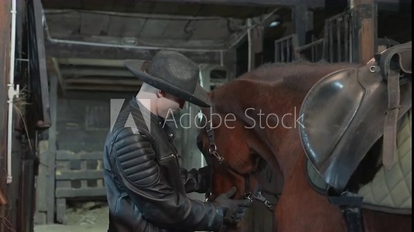 Cowboy saddling horse in stable, closeup of brown horse and male stablehand wearing leather jacket and cowboy hat, adjusting bridle and saddle, gentle touch, rustic timber beams, soft natural light,