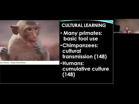 Chapter 5, part 2, Human Origins (2026)