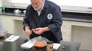 What Is Sensory Evaluation And Its Role In The Food Industry