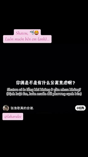 Shatou and Shasha Table Tennis Couple Highlights