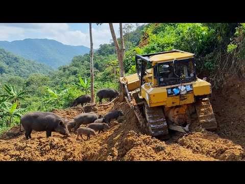 Bulldozer Climbing a Muddy Hillside | Heavy Machinery vs Steep Terrain