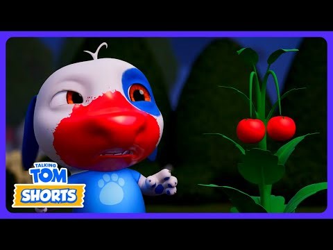 Talking Tom - Déco d'Halloween Trop Peur ! 👻 | Dessins Animés | WildBrain Maison Hantée
