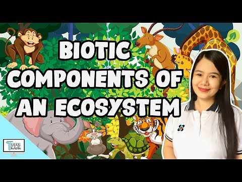 Biotic Components of an Ecosystem | Biology