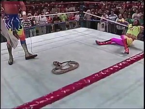 One of the most famous angles the WWF ever did. "The Snake Bite" This illustrates the all-time greatness of Randy Savage. Not only letting the snake attack his arm, but his performance afterwards is just incredible. | IDieGaming