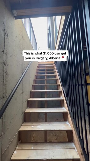 Explore Calgary Living with These Prime Rentals