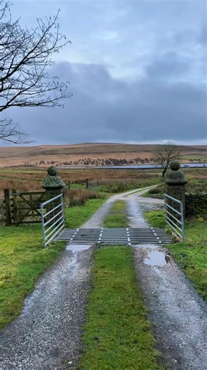 Always on my own !! Follow the public footpath signs , it starts out good , then hell , where does the path go 🤔 #lost #bogs #sinking #hiking #offroad