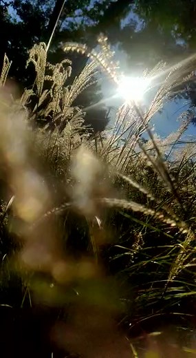 Videos de madelin매들린🇰🇷𝔹𝕋𝕊7⟭⟬💜⟬⟭ (@t_t.madeline) con “original sound - The Macarons Project”