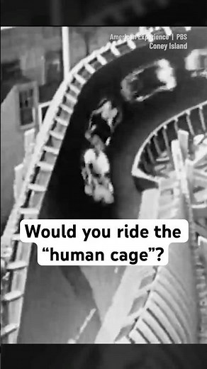 Which ride would you try?