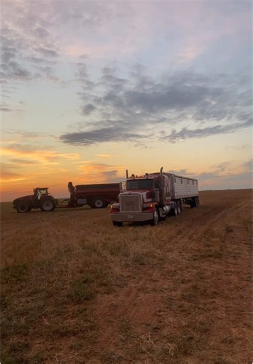 Texas Custom Harvesting with Schiltz Harvesting