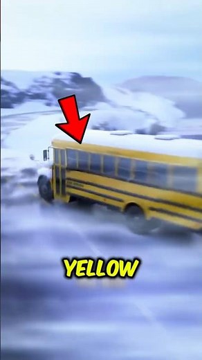 Why School Buses Are Yellow? #shorts