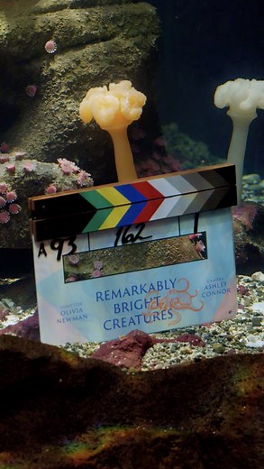 That's a wrap on Remarkably Bright Creatures 🐙 coming soon to Netflix! | Netflix