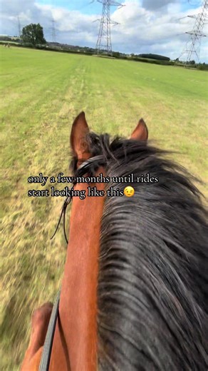 Exciting New Rides Coming Soon to Amusement Parks