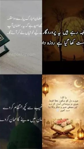 📿 Daily Islamic Reminders