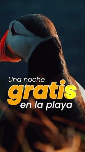 Este Black Friday no se trata solo de descuentos… se trata de darle un giro total a tu carrera. 💻⚡