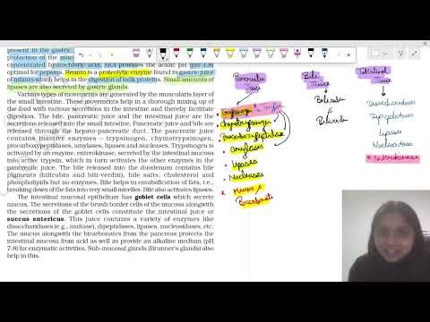 Digestive System NCERT 11th Class| Part 4 Digestion of food in Small Intestine